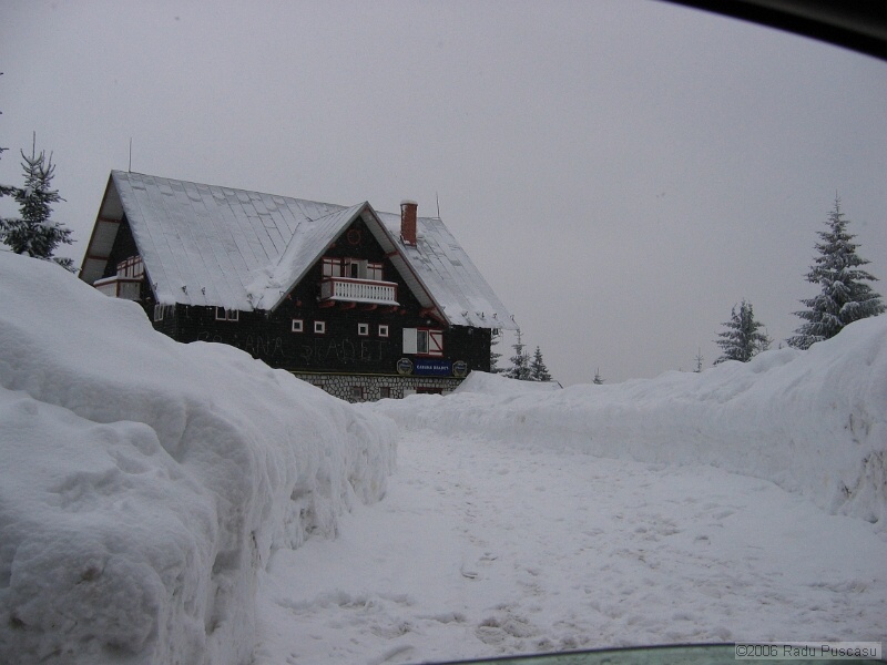 IMG_6720.jpg