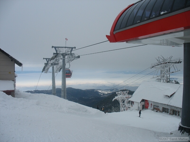 IMG_4166.JPG