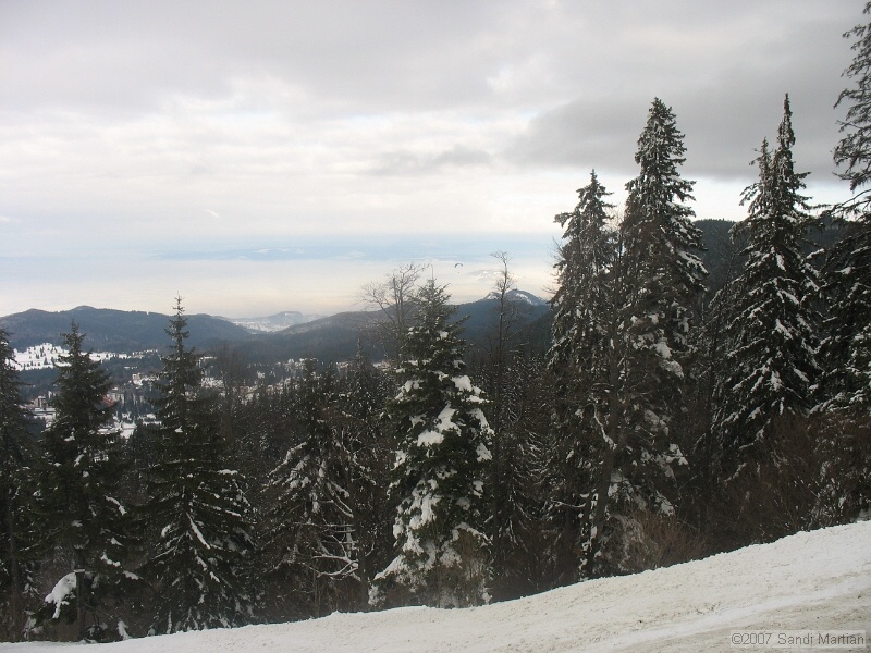 IMG_4174.JPG
