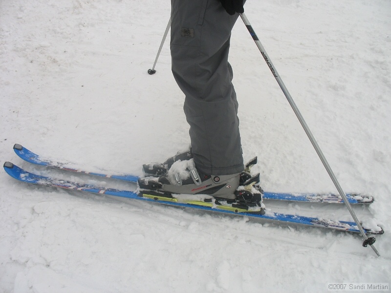 IMG_4181.JPG