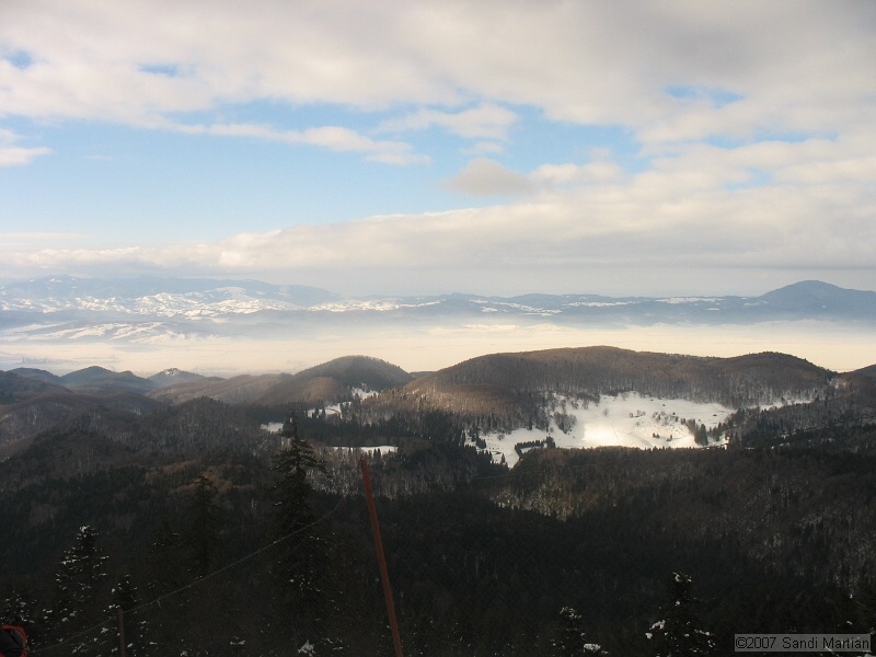 IMG_4184.JPG