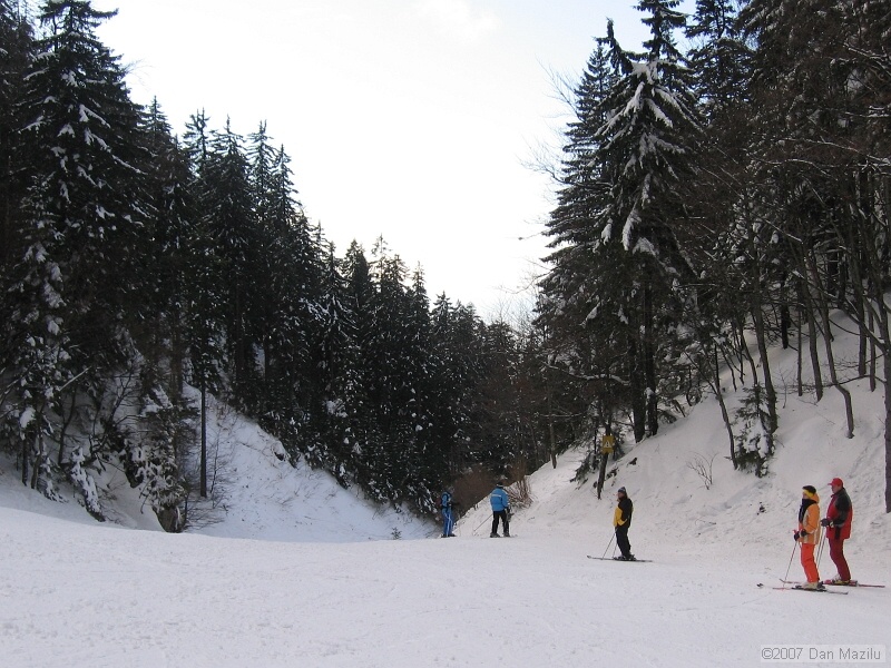 IMG_7782.JPG