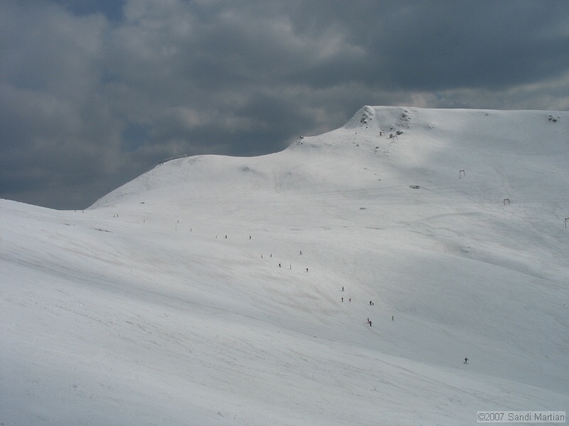 IMG_4614.JPG