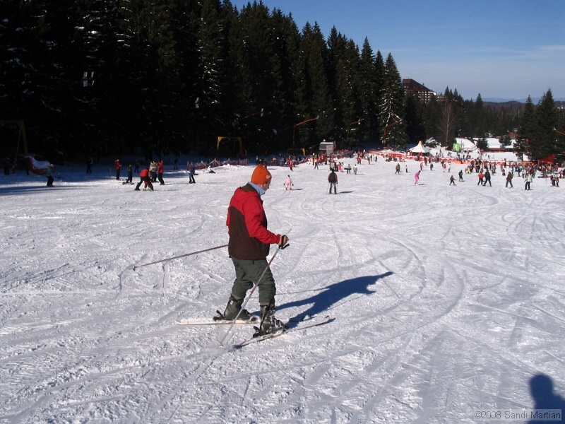 IMG_6354.jpg