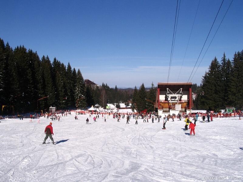 IMG_6355.jpg