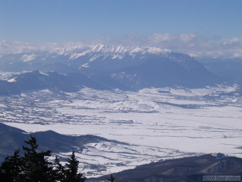 IMG_6364.jpg