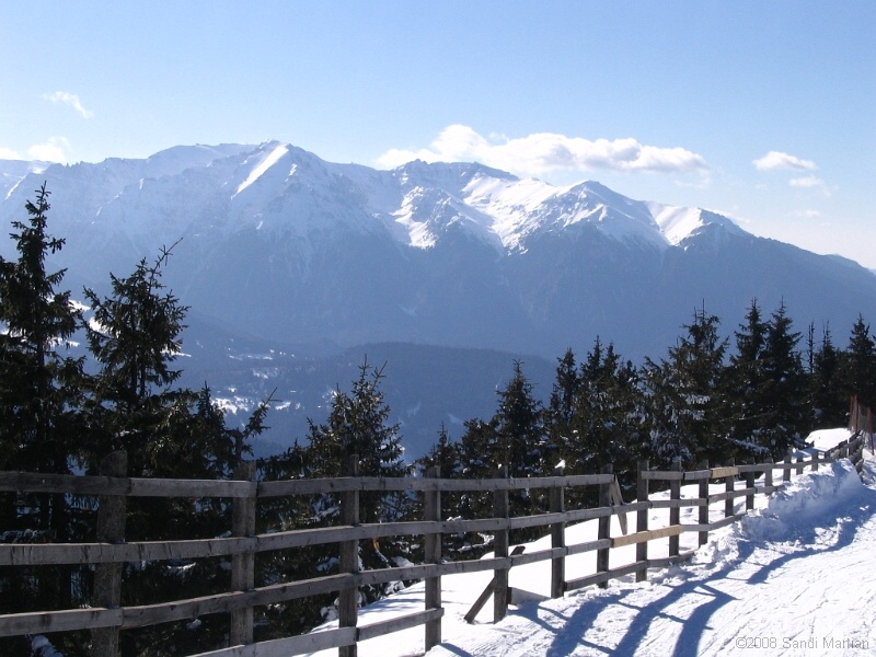 IMG_6365.jpg