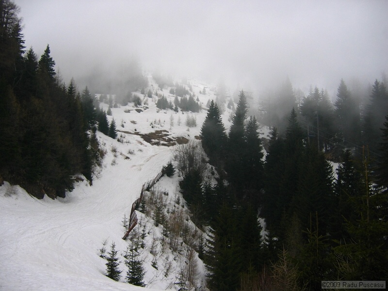 IMG_3681.JPG