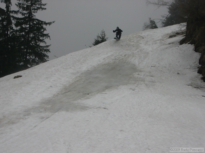 IMG_3682.JPG