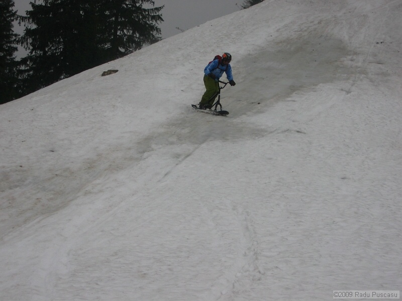 IMG_3684.JPG