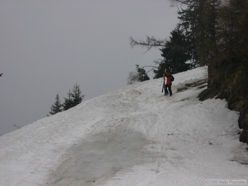 IMG_3688.JPG