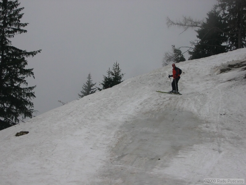IMG_3689.JPG
