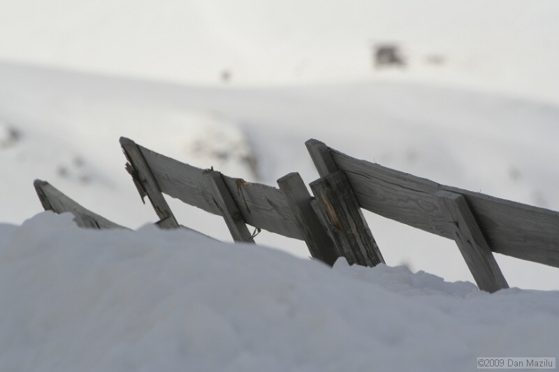 _MG_9240.JPG