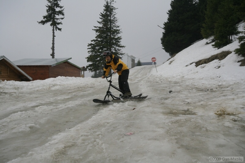 _MG_9429.JPG