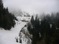 IMG_3681
