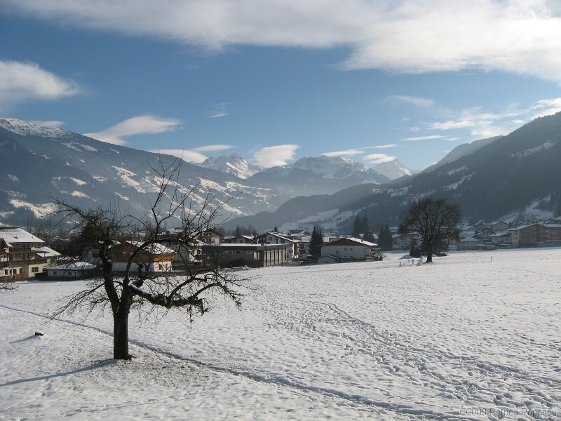 IMG_9121.JPG