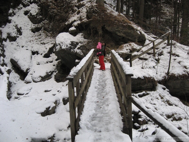 IMG_9133.JPG