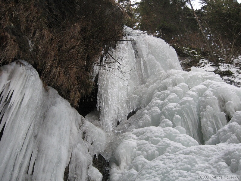 IMG_9136.JPG