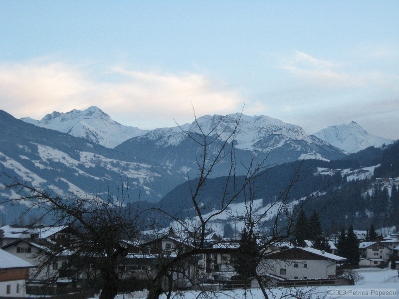 IMG_9137.JPG