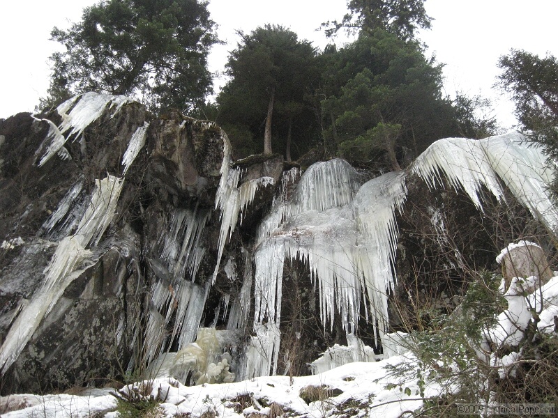 IMG_9183.JPG