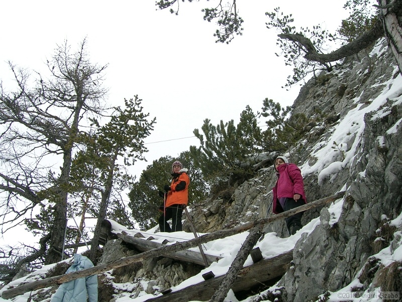 DSCN3641.jpg