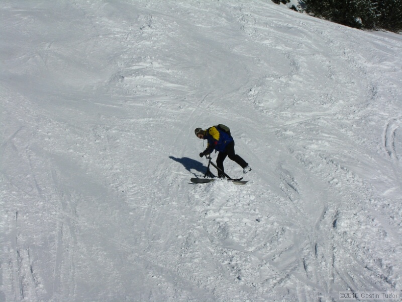 IMG_4182.jpg
