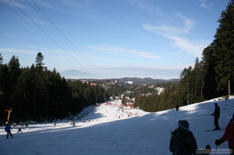 IMG_4849.JPG