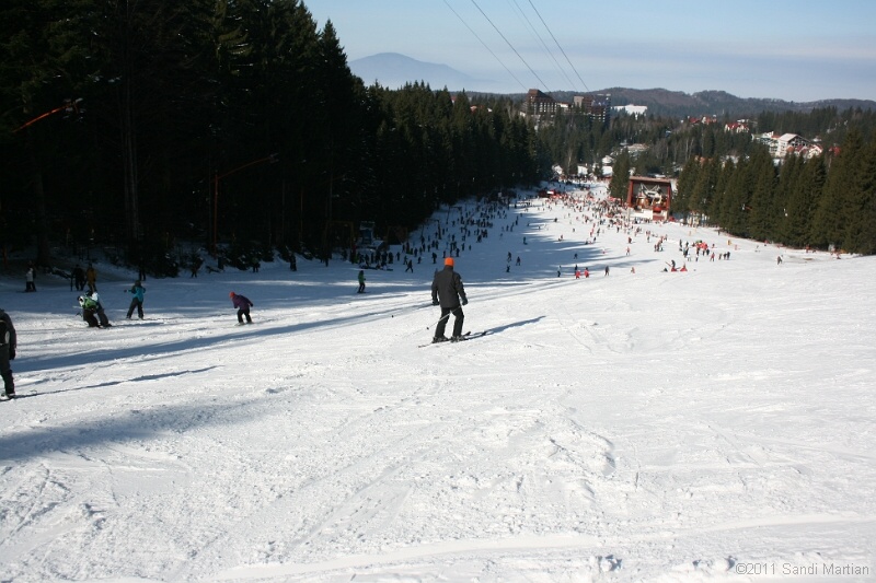 IMG_4865.JPG