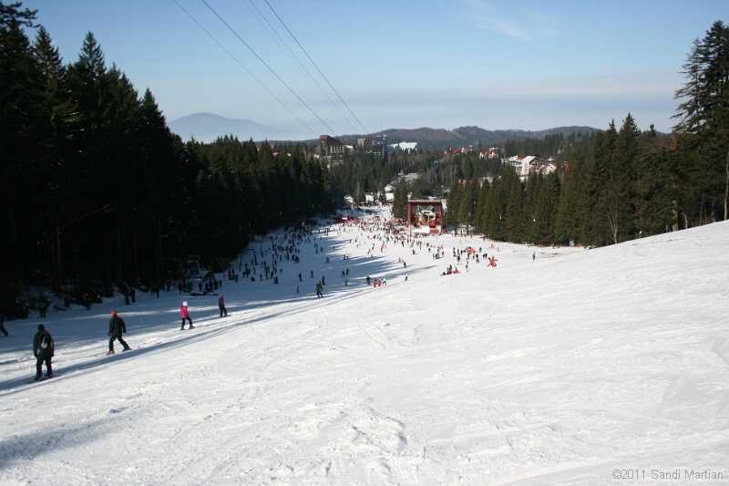 IMG_4866.JPG