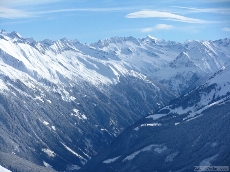 IMG_4800.jpg