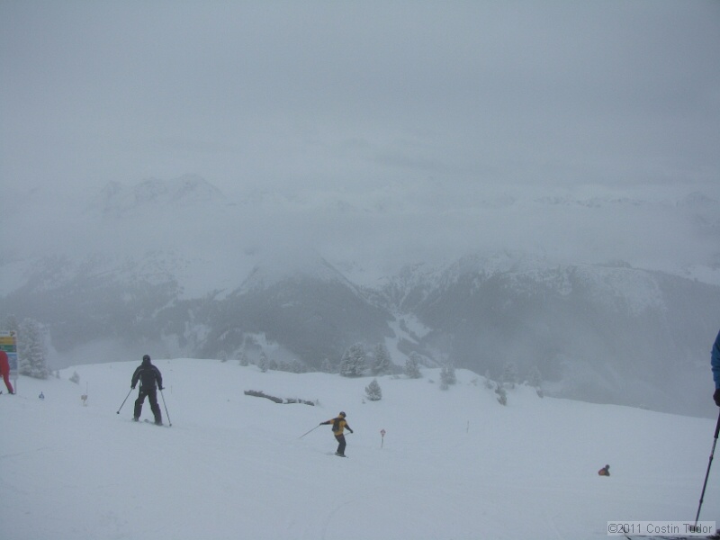IMG_4867.jpg