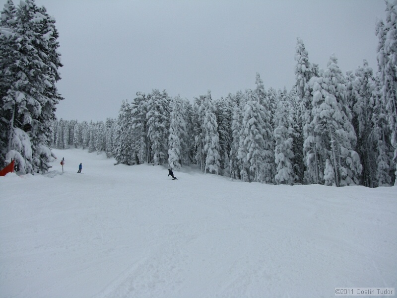 IMG_4868.jpg