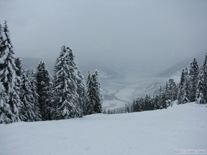 IMG_4871.jpg