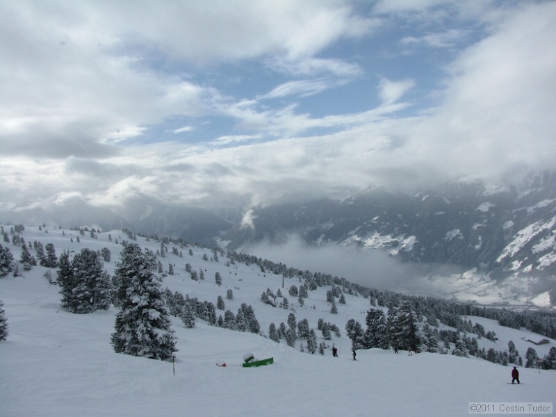 IMG_4874.jpg