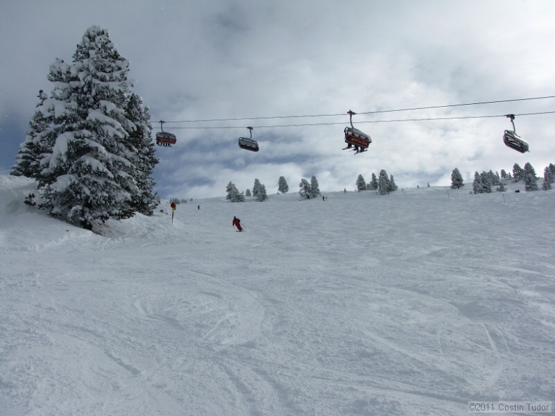 IMG_4880.jpg