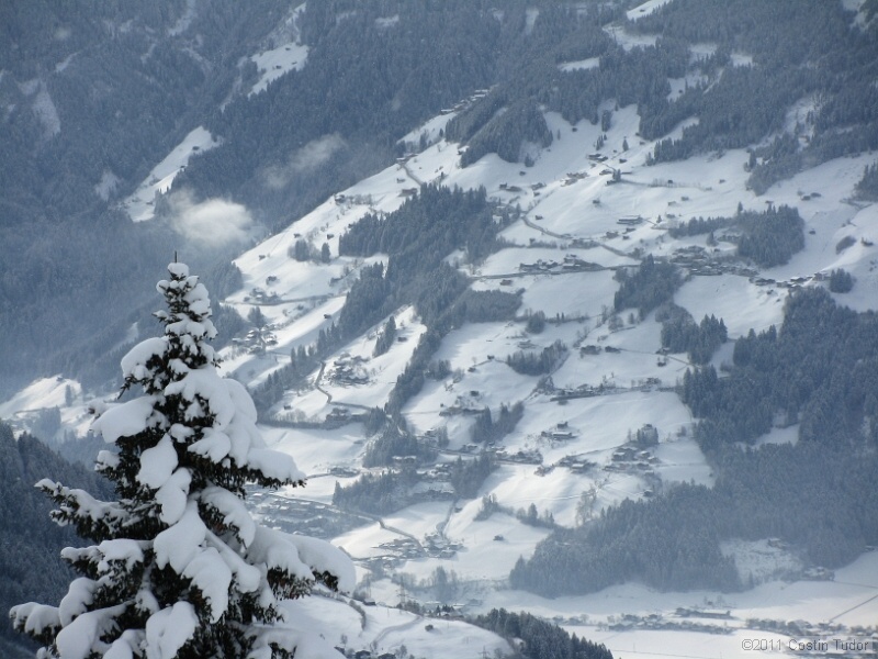 IMG_4888.jpg