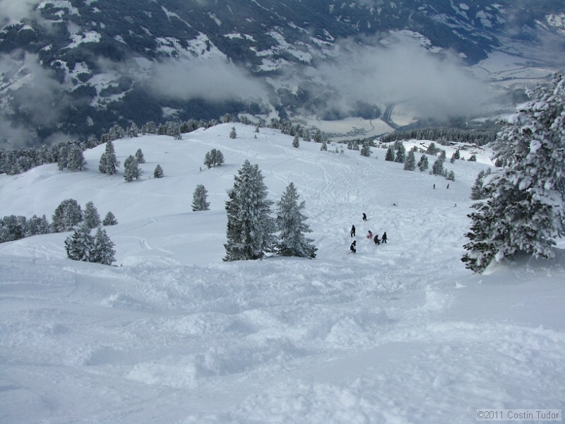 IMG_4895.jpg