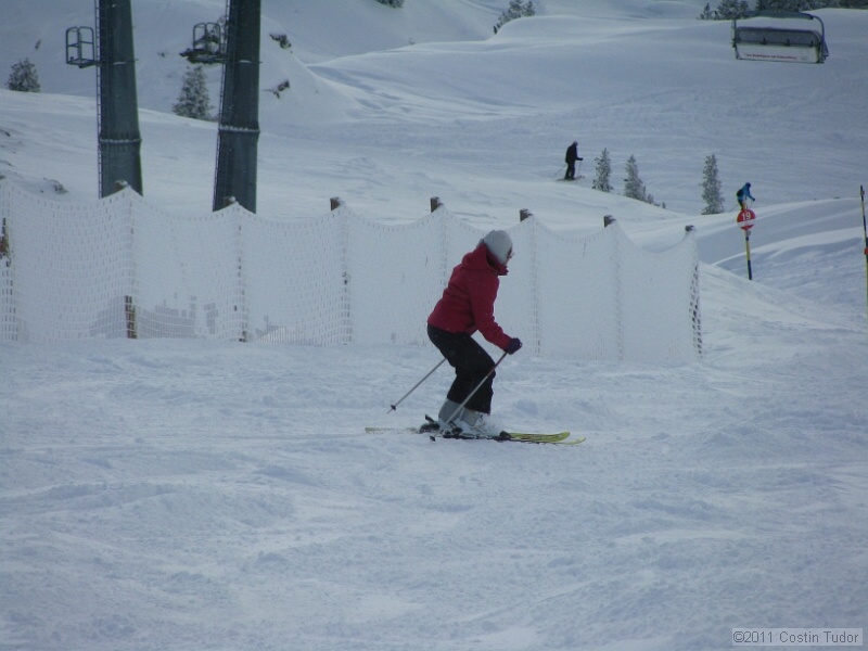 IMG_4913.jpg