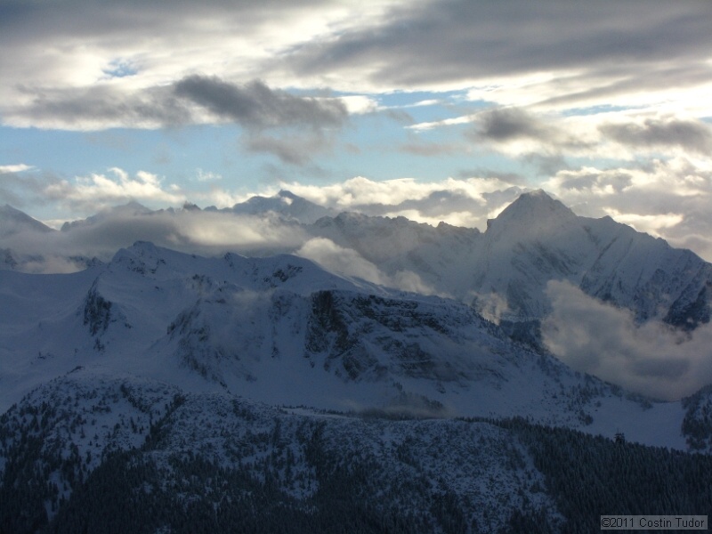 IMG_4920.jpg