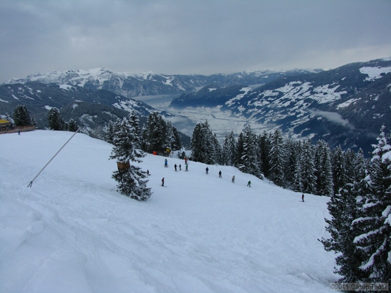 IMG_4989.jpg