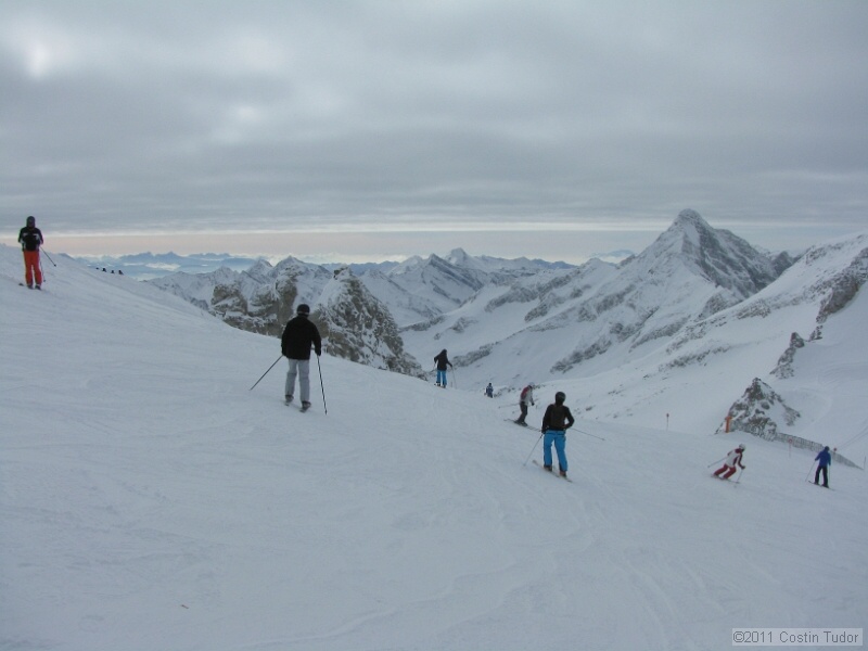 IMG_5001.jpg