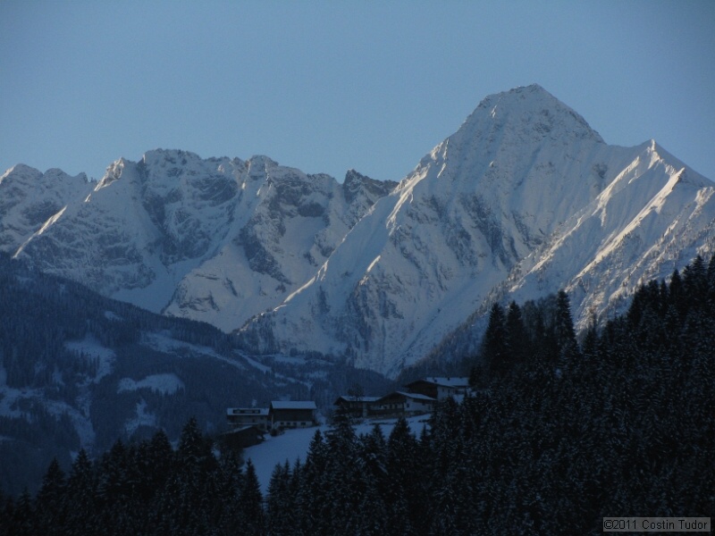 IMG_5234.jpg