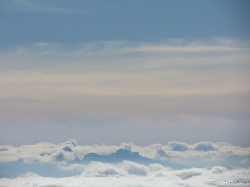 IMG_5284.jpg