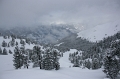 IMG_47880007