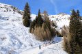 IMG_9987