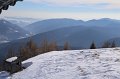 IMG_9993