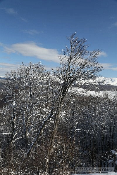 IMG_0584.JPG