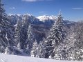 IMG_0478