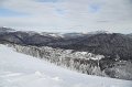 IMG_0517