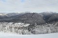 IMG_0520